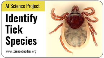 AI Science Project: Identify Lyme Disease-Transmitting Ticks
