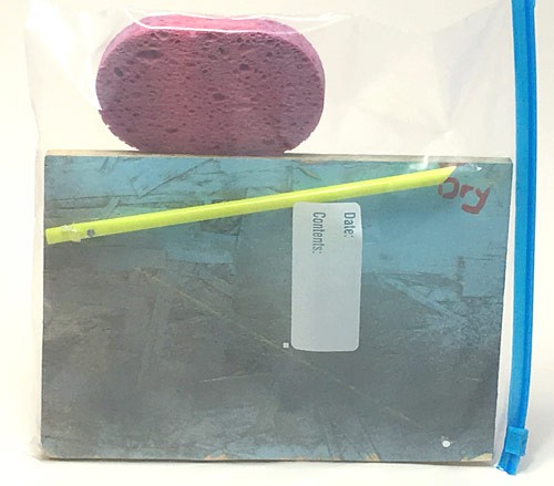 A homemade hygrometer is sealed in a zip top bag with a wet sponge
