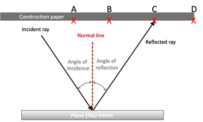 quiz image 