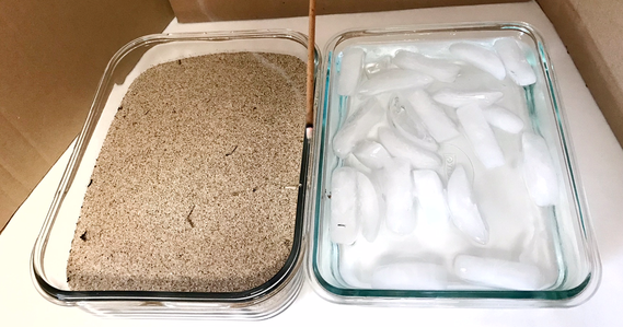 Two containers with sand and ice water and smoke from incense stick above for sea breeze experiment on wind