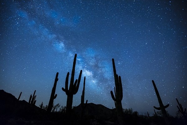 night sky