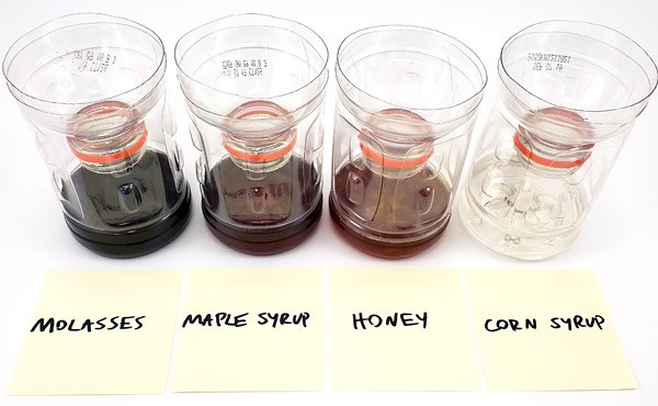 Four fly traps made from plastic bottles filled with molasses, maple syrup, honey, and corn syrup