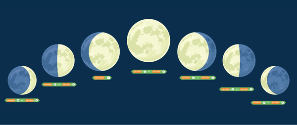  A conceptual diagram showing the phases of the moon.  