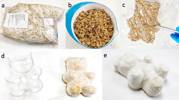 A collage illustrating the different steps in growing a mycelium product.