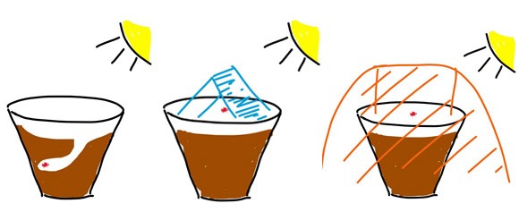 Drawn examples of three ways animals can escape the sunlight: burrowing, finding cover and creating cover