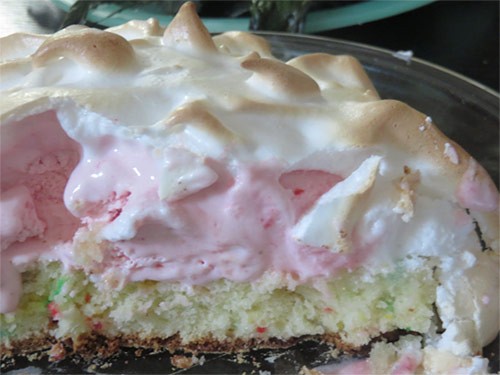 Cross-section of an ice cream cake after it has been baked