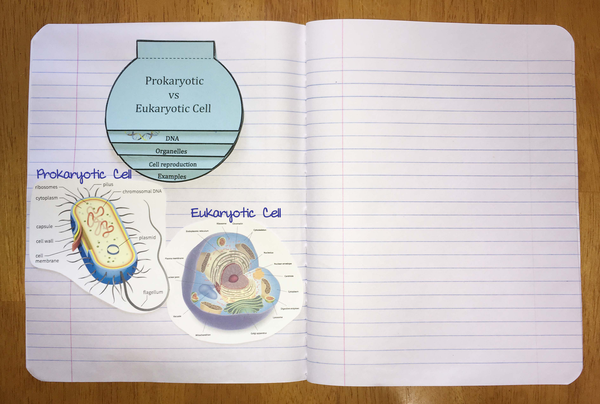 classroom workbook page