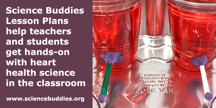 Two plastic cups with plastic straw drain holes are filled with red liquid