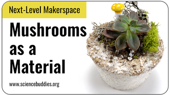Next-Level Makerspace STEM: Flowerpot made from mushroom material