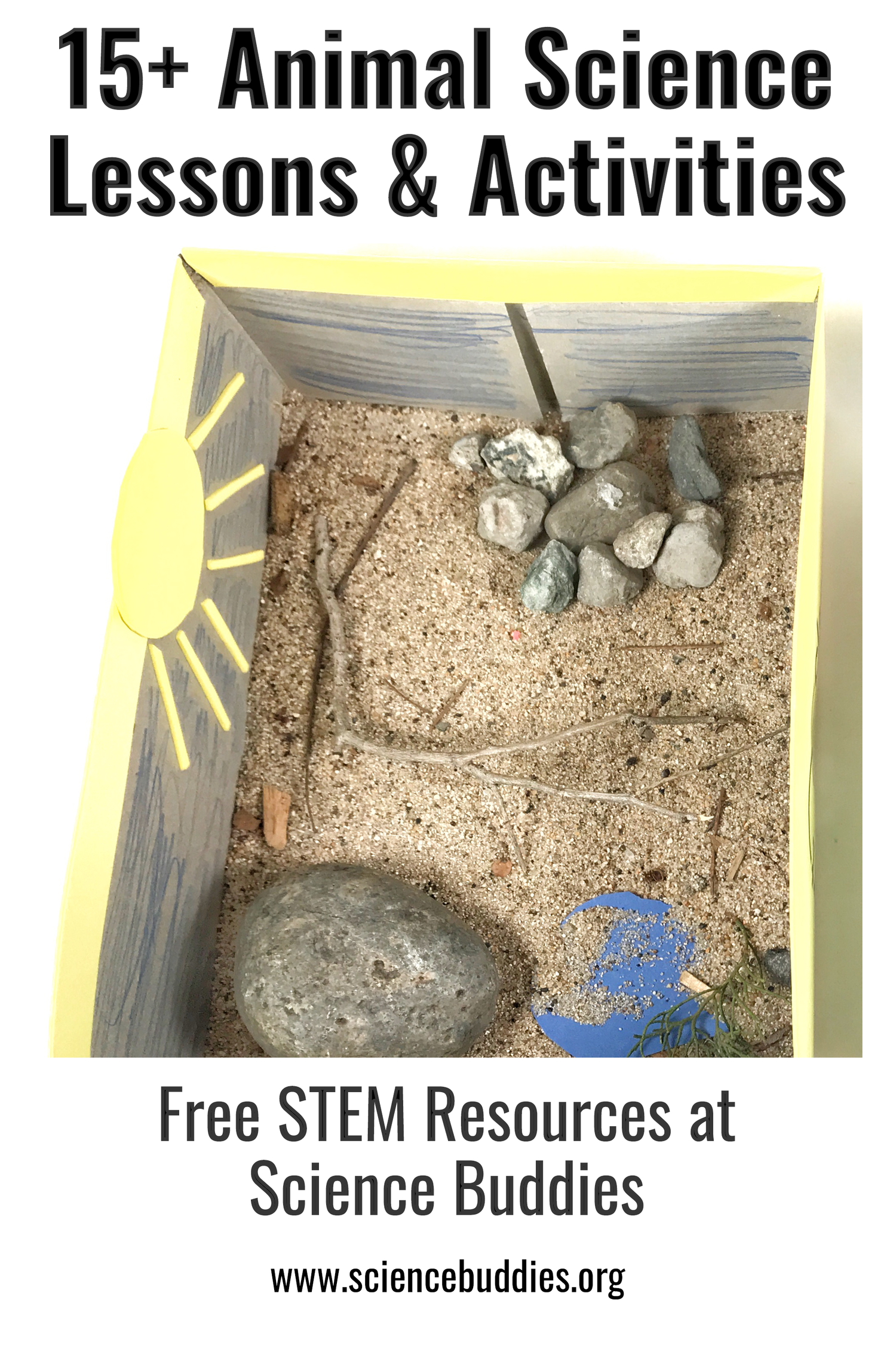 Shoebox animal habitat from animal science lesson