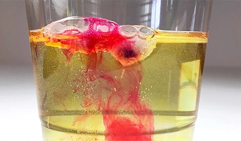 Side view of plastic cup filled with yellow-colored water. A red bath tablet releases red color into the yellow solution.