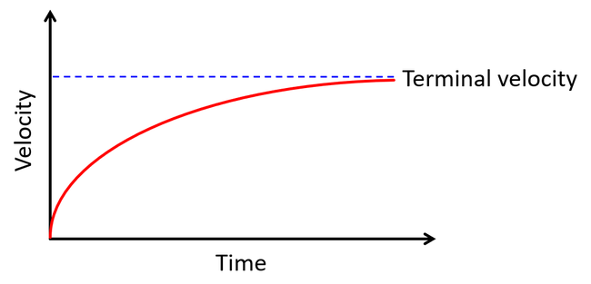 Theoretical graph of terminal velocity