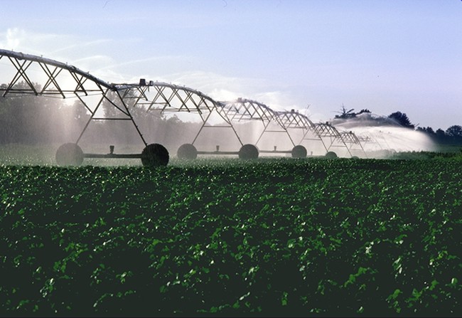 Pivot sprinkler irrigation system