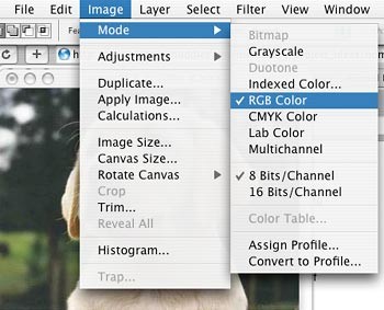 Screenshot of the image menu drop-down in the program Photoshop