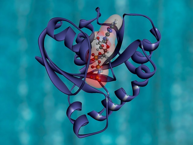 protein structure
