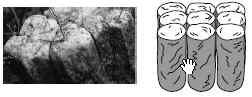 A photo and drawing of columnar soil structure