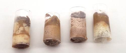 Four candy core samples placed next to each other. They have different visible layers of chocolate, caramel, and other ingredients. 