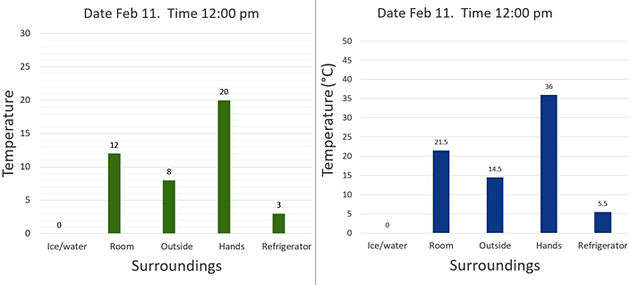 Two graphs show the temperature of five different environments taken with a store bought and homemade thermometer