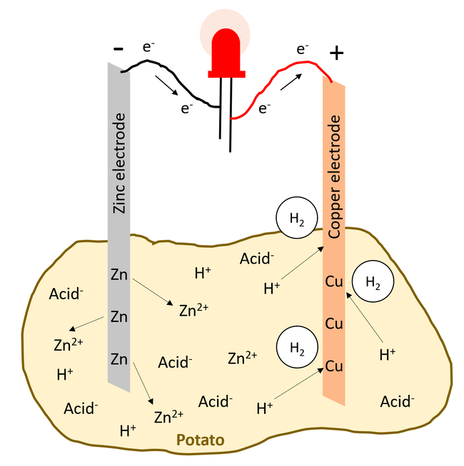 Drawing of an LED powered by a zinc electrode and a copper electrode inserted into a potato