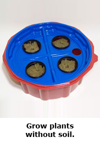 2014 Summer Science Guide: Hydroponics Science Project