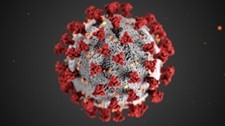 SARS-CoV-2, the virus that causes COVID-19, is spherical with spike proteins sticking out ofom the viral envelope.