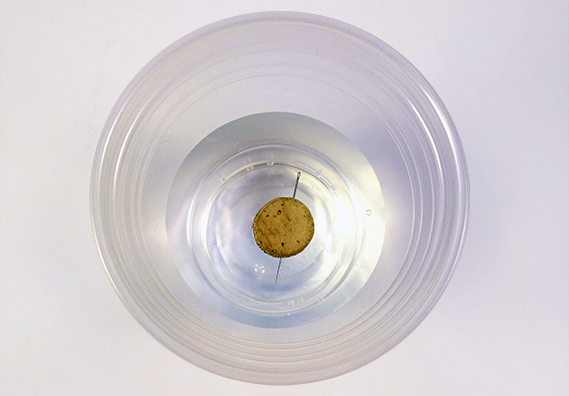 Simple homemade compass made from a cork and needle and floating in water