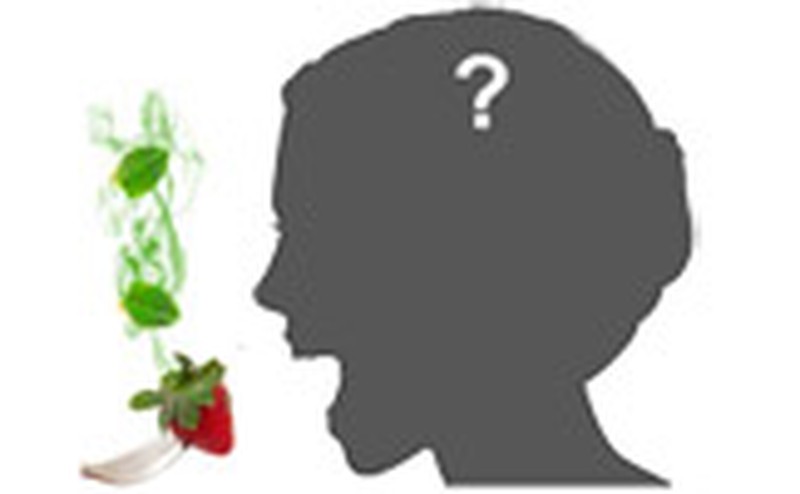 Battle of the Senses: Taste Versus Smell | Science Project