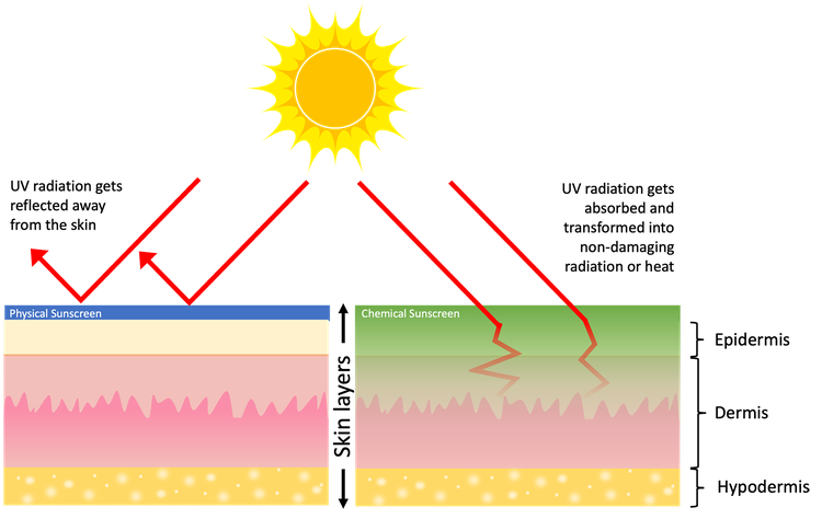 A schematic diagram shows how physical sunscreen and chemical sunscreen work.