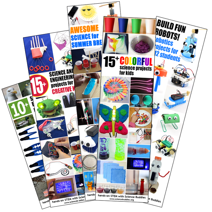 Photos of science projects separated into five groups based on subjects