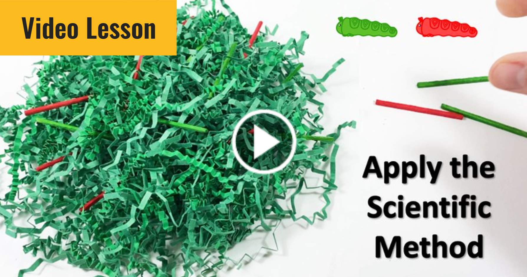 Four Ways to Teach the Scientific Method | Science Buddies Blog