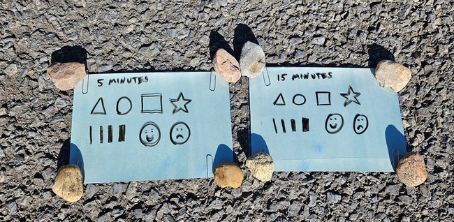 Two sun print papers with marked transparencies on top lie on a driveway with the corners held down by rocks.