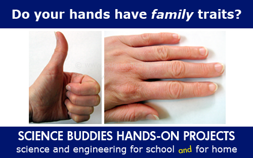 Two photos side-by-side of a hand giving a thumbs up sign and a hand laid flat on a table