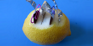 Lemon Battery / Hands-on science activity