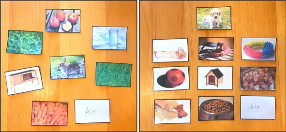 Two sets of animal photos next to photos of their respective needs