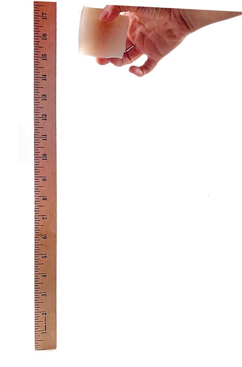 A hand is holding a hydrogel-wrapped egg next to a upright ruler. The egg is positioned at the 15 inch mark of the ruler.