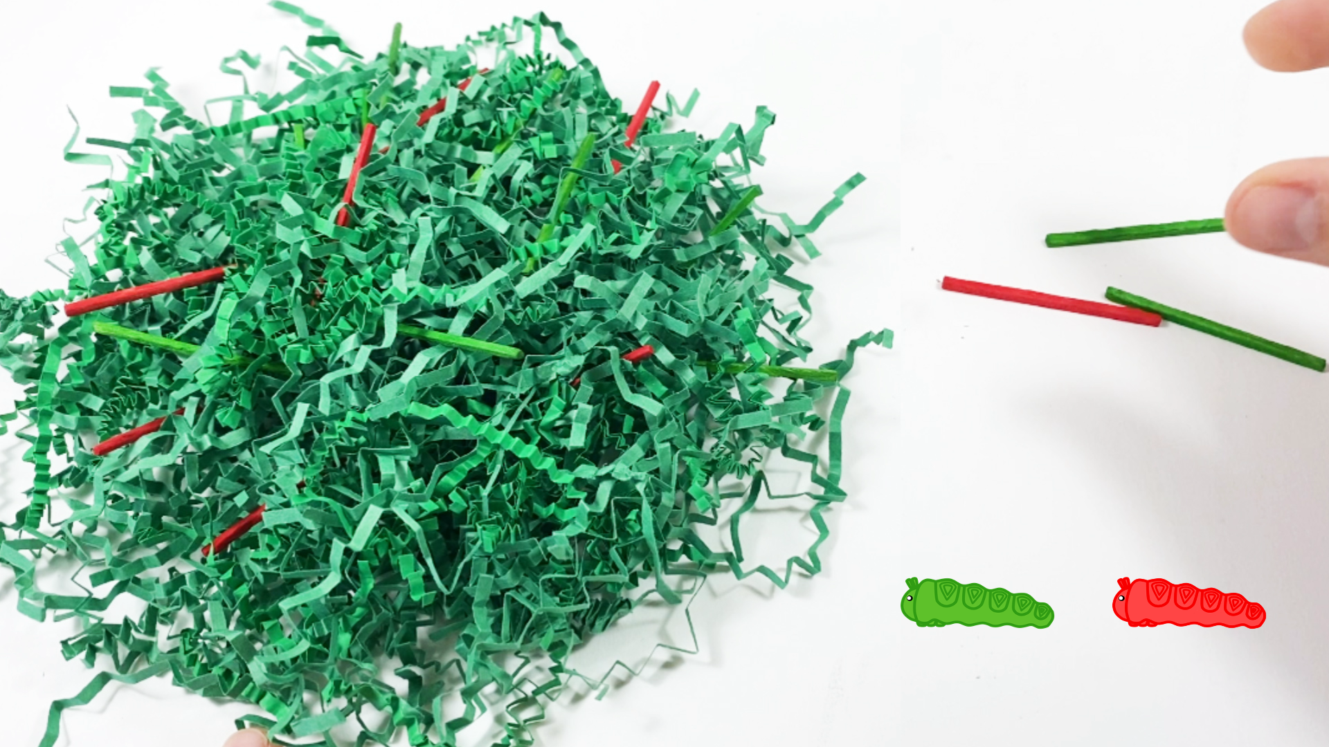 Pile of green shred with red and green toothpicks for natural selection camouflage science activity