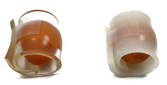 Two eggs, each wrapped in a hydrogel layer that is secured with a piece of tape. One hydrogel is more transparent, and the other is more opaque.
