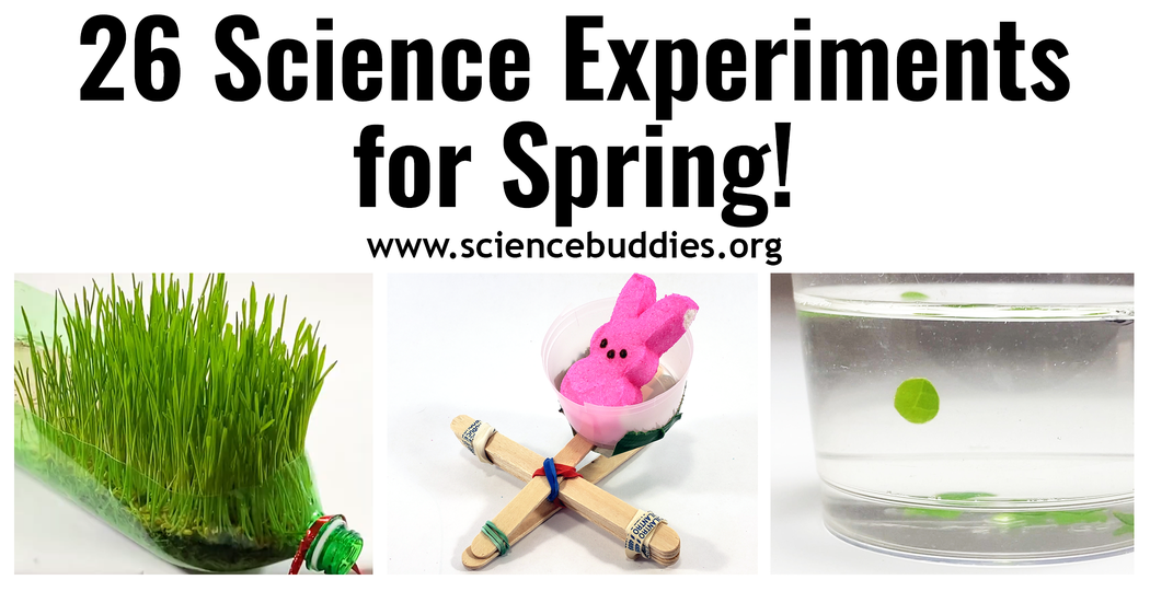 Science Springfrild Spring Science Projects: 26 Science Experiments for Spring | Science ...