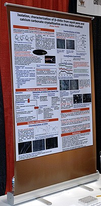 A science project displayed on a vertical retractable banner