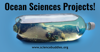 Explore ocean sciences with science projects, lessons, and experiments, including looking at wave formation in a bottle