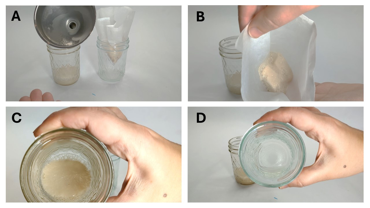 This set of image represents the importance of the filtration process of removing cell debris from protein products. In the no filtration control, a funnel is used (in image A) and remains unchanged, while the filter (in image B) contains the dyed cell debris (yeast is yellow if not dyed). The result of the protein with and without filtration is a cell debris-contaminated solution (in image C) or a clear filtered solution without cell debris and only the clear protein product (in image D).