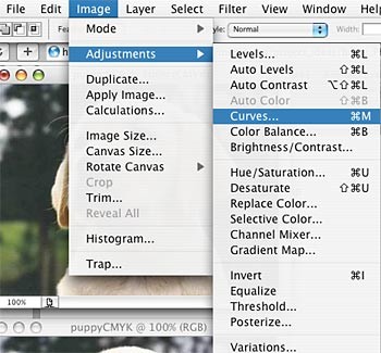 Screenshot of the image menu drop-down in the program Photoshop