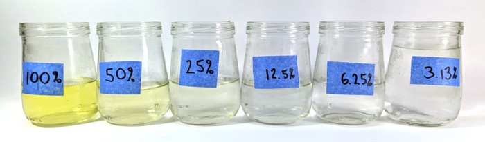 Jars with serial dilutions of yellow solution.