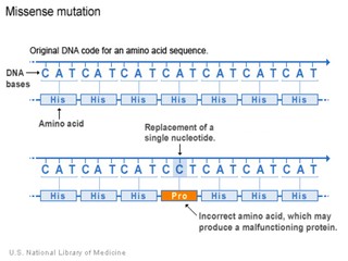 mutation chart