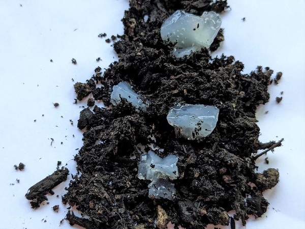 Small chunks of hydrogel mixed with potting soil.