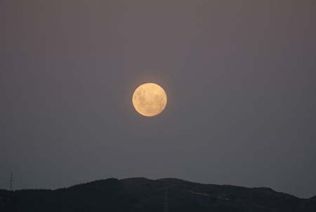 A full moon over the horizon