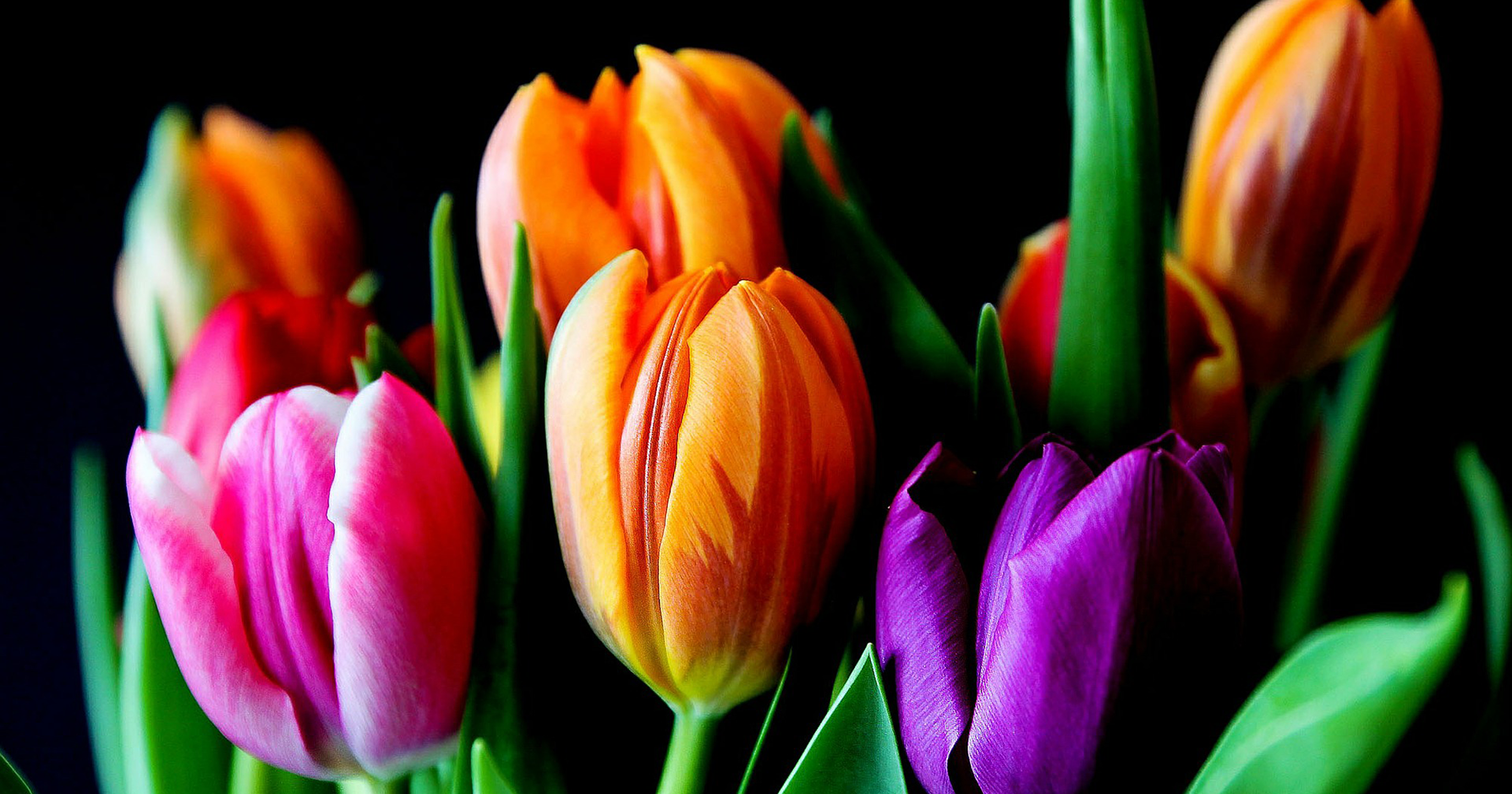 Spring Science Projects: 26 Science Experiments for Spring | Science ...