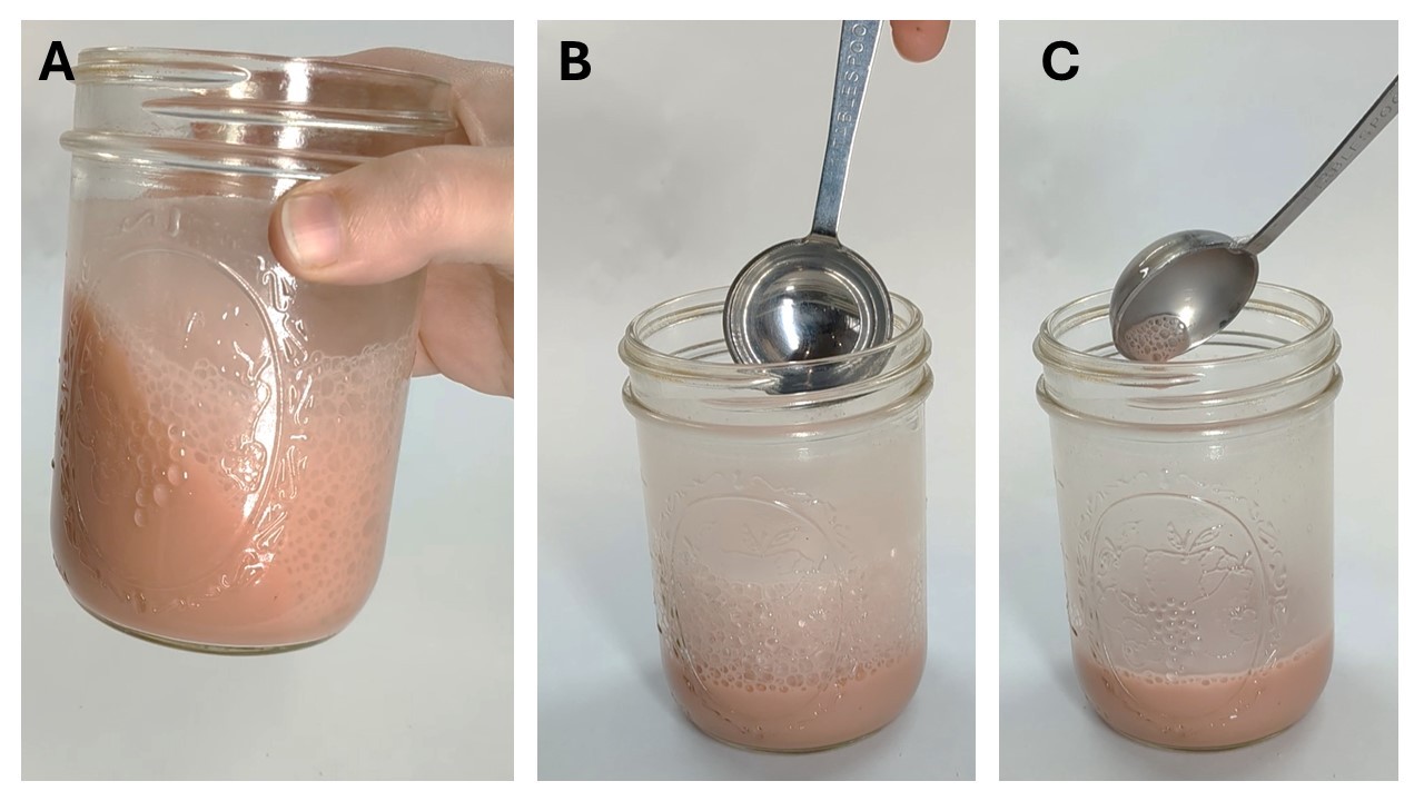 When hydrogen peroxide is added to the expanded yeast cells they immediately start to expand more (seen in image A) followed by mixing the foam reduces further from 5-10 minutes (seen in figure B and C, respectively).