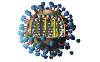 structure of influenza virus