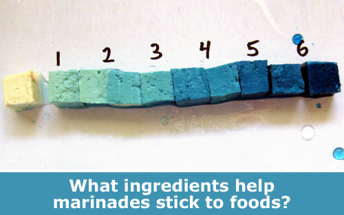 Sauces and marinades kitchen and food science experiment / Hand-on STEM experiment